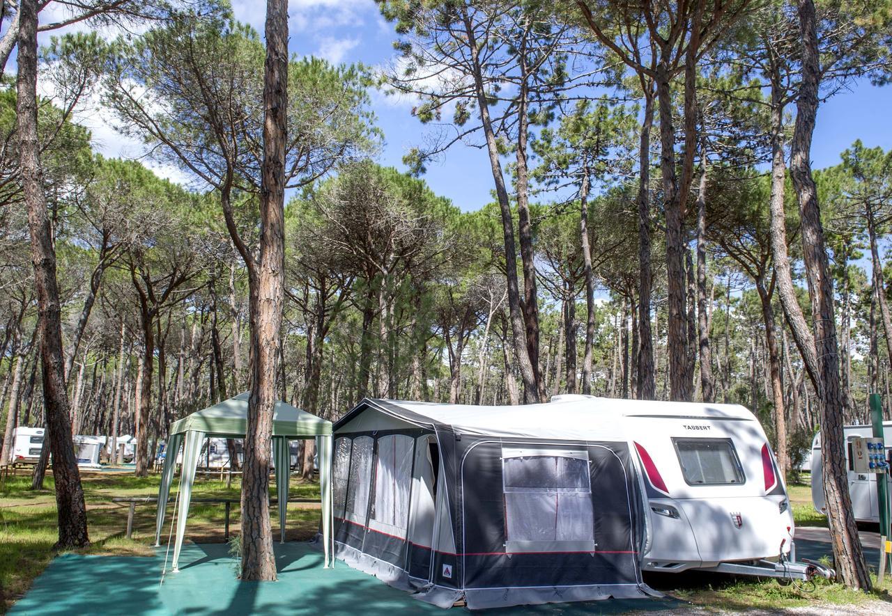 Campeggio Baia Verde 카스틸리오네 델라 페스카이아 외부 사진