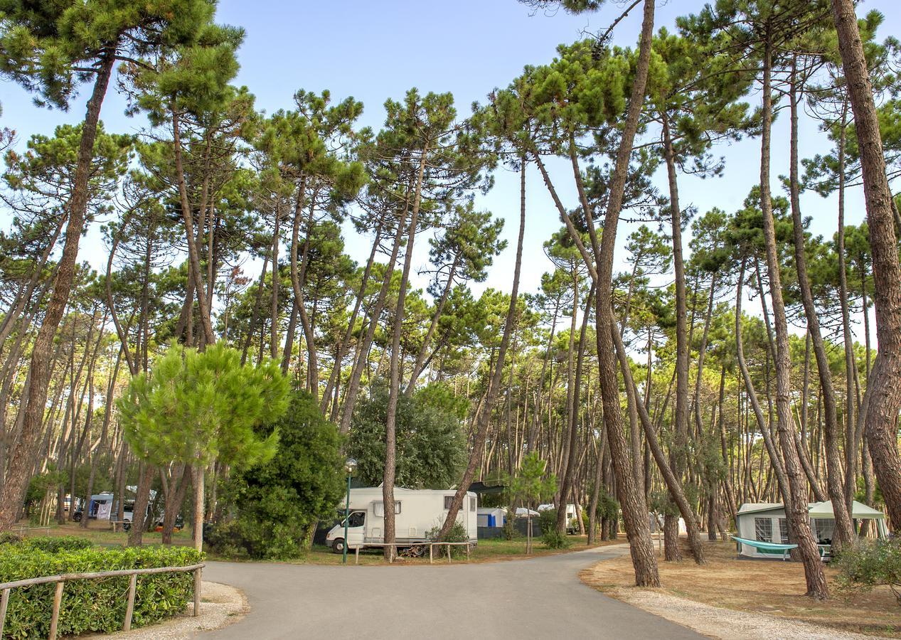 Campeggio Baia Verde 카스틸리오네 델라 페스카이아 외부 사진